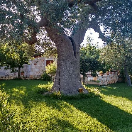 Bed and Breakfast Il Giardino Degli Ulivi Кастеллана-Гротте Екстер'єр фото
